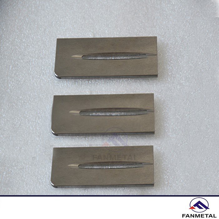 Molybdenum Alloy Ion Implantation Parts (2)