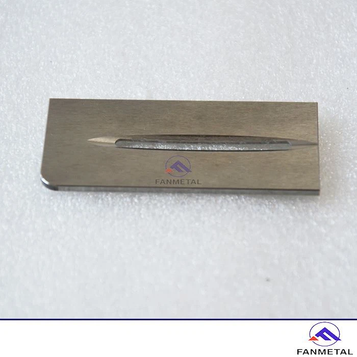 Customized Molybdenum Ion Implant Part